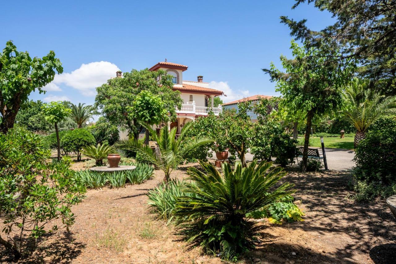Vivienda Turística Rural Mari Carmen Vila Baeza Exterior foto