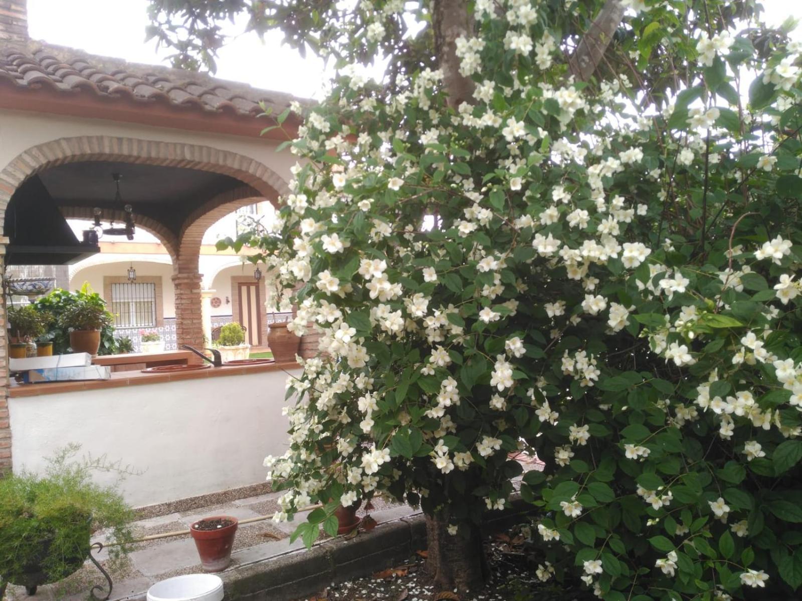 Vivienda Turística Rural Mari Carmen Vila Baeza Exterior foto