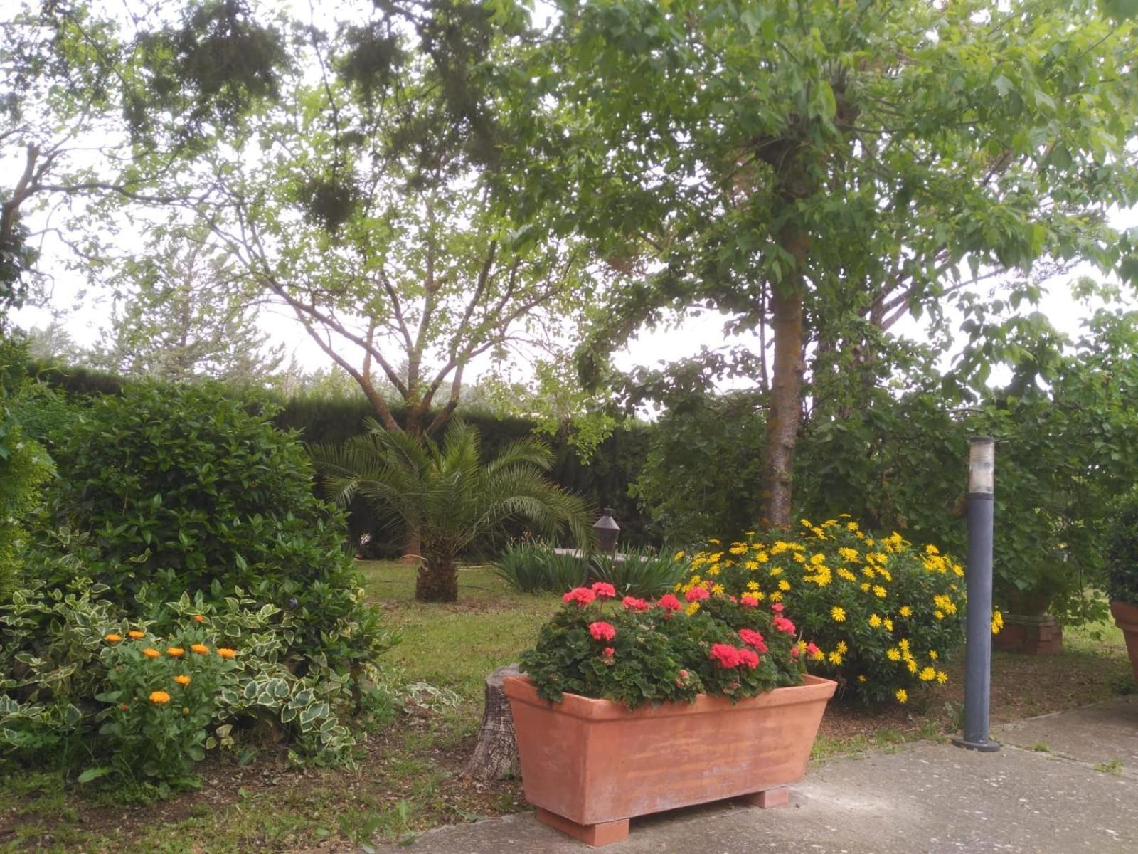 Vivienda Turística Rural Mari Carmen Vila Baeza Exterior foto